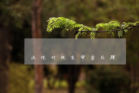 法院对规定审查处理