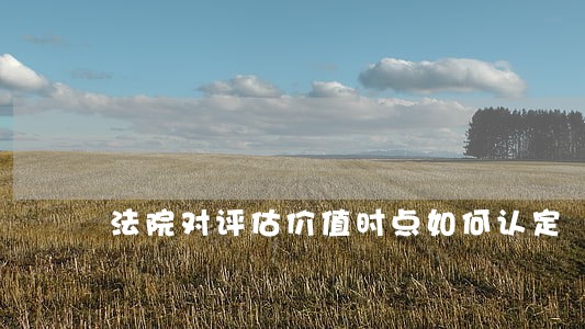 法院对评估价值时点如何认定 法院对评估价值时点如何认定