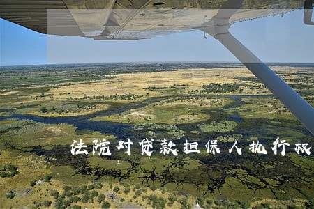 法院对贷款担保人执行权利