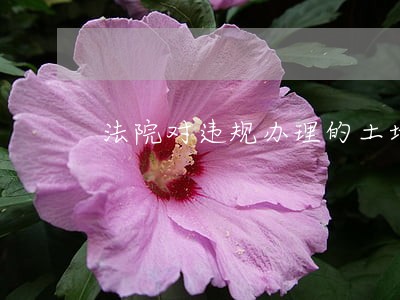 法院对违规办理的土地证怎么审理 法院对违规办理的土地证怎么审理