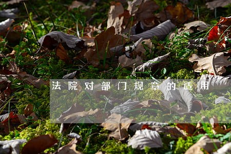 法院对部门规章的适用