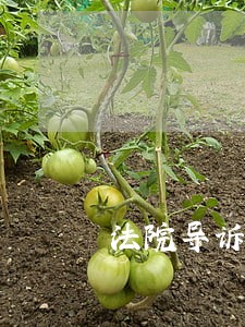 法院导诉员工资 法院导诉员工资