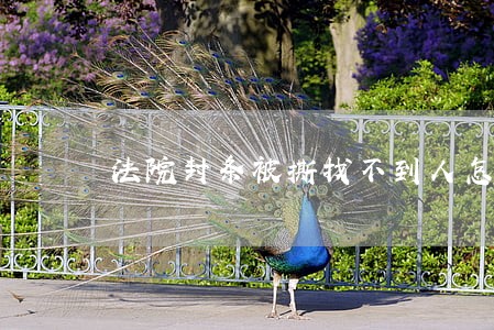 法院封条被撕找不到人怎么办 法院封条被撕找不到人怎么办