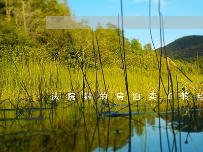 法院封的房拍卖了转给房管局 法院封的房拍卖了转给房管局