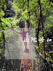 法院将如何判赌博罪 法院将如何判赌博罪