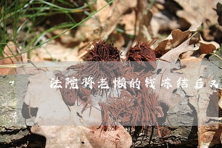 法院将老懒的钱冻结后又解冻了 法院将老懒的钱冻结后又解冻了