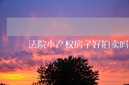 法院小产权房子好拍卖吗 法院小产权房子好拍卖吗