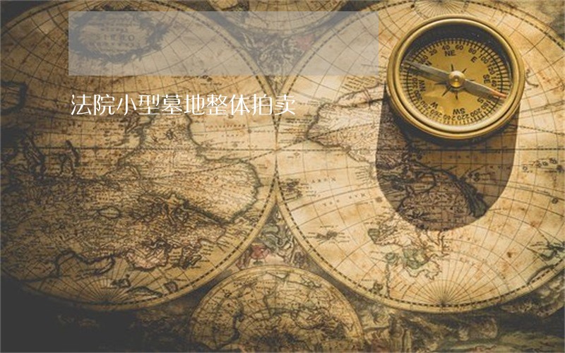 法院小型墓地整体拍卖 法院小型墓地整体拍卖