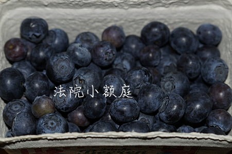 法院小额庭 法院小额庭