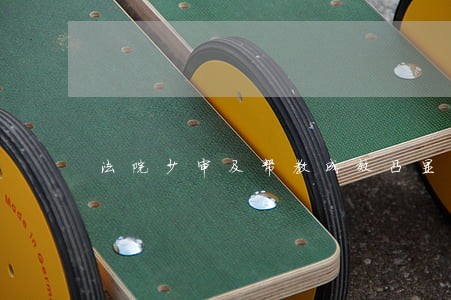 法院少审及帮教成效凸显 法院少审及帮教成效凸显