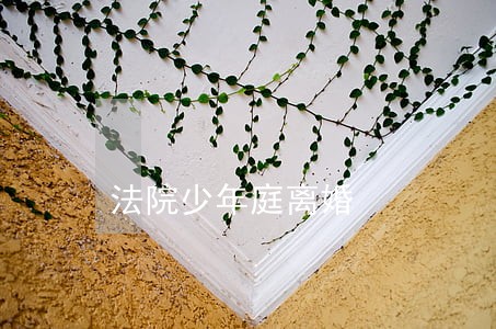 法院少年庭离婚