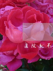 法院就不能缺席判吗 法院就不能缺席判吗