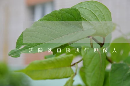 法院就直接执行担保人 法院就直接执行担保人