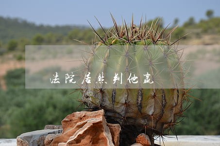 法院居然判他赢 法院居然判他赢