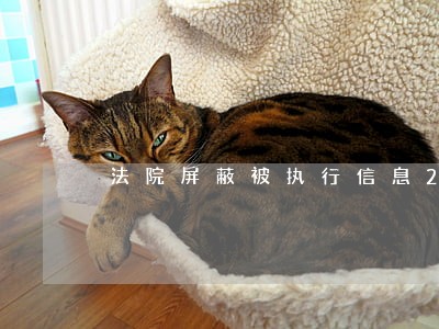 法院屏蔽被执行信息2年多了 法院屏蔽被执行信息2年多了