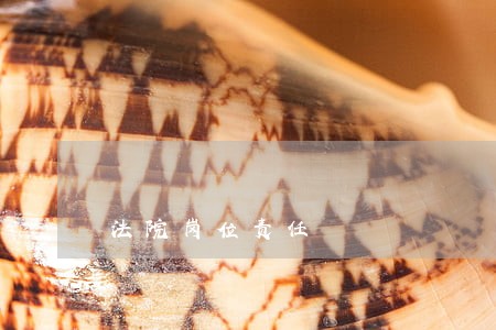 法院岗位责任 法院岗位责任