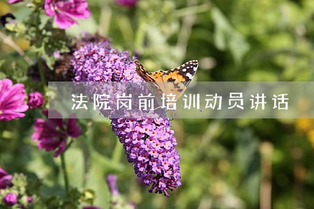 法院岗前培训动员讲话 法院岗前培训动员讲话