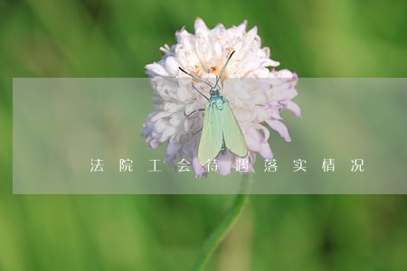 法院工会待遇落实情况 法院工会待遇落实情况