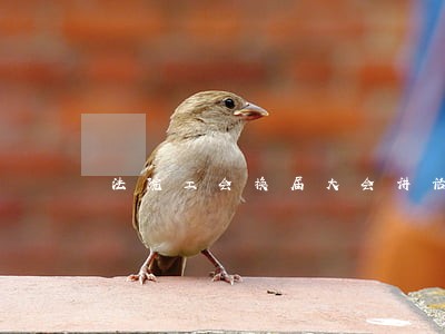 法院工会换届大会讲话 法院工会换届大会讲话