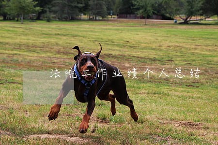 法院工作业绩个人总结 法院工作业绩个人总结