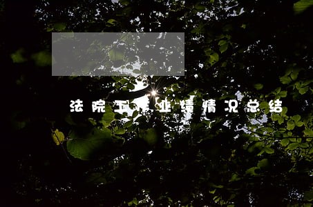 法院工作业绩情况总结