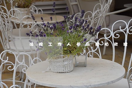 法院工作人参与竞拍处理