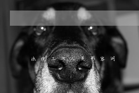 法院工作人员形容词