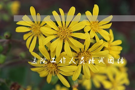 法院工作人员精诚团结 法院工作人员精诚团结