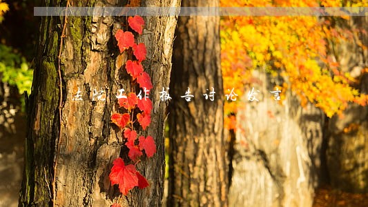 法院工作扳告讨论发言 法院工作扳告讨论发言