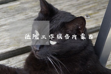 法院工作报告内蒙古