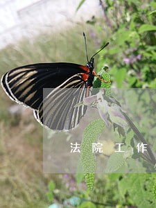法院工作提高站位定位 法院工作提高站位定位