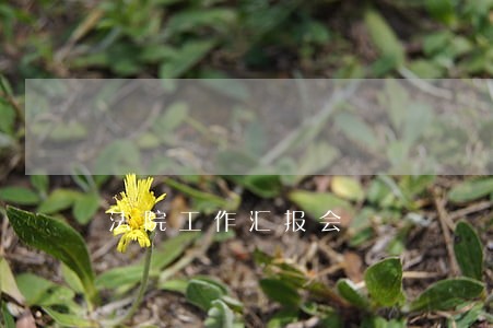 法院工作汇报会 法院工作汇报会