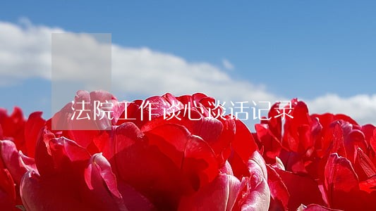 法院工作谈心谈话记录