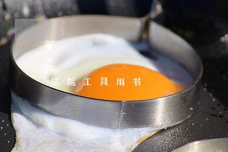 法院工具用书