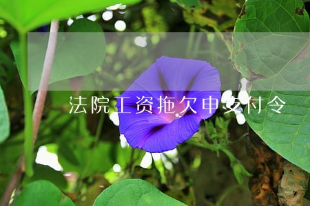 法院工资拖欠申支付令 法院工资拖欠申支付令