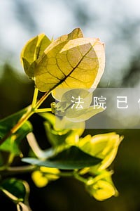 法院已保全我还能起诉吗 法院已保全我还能起诉吗
