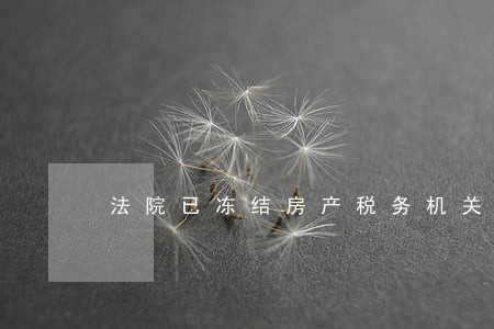 法院已冻结房产税务机关能冻结吗 法院已冻结房产税务机关能冻结吗