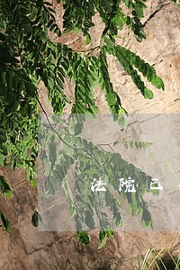 法院已判决开始执行 法院已判决开始执行