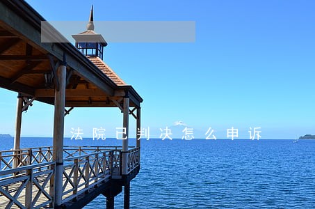 法院已判决怎么申诉