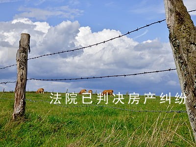 法院已判决房产纠纷 法院已判决房产纠纷
