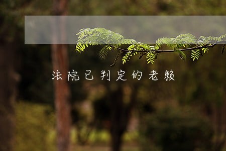 法院已判定的老赖 法院已判定的老赖