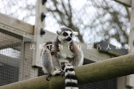 法院已执行在原告人撤诉怎么办理 法院已执行在原告人撤诉怎么办理