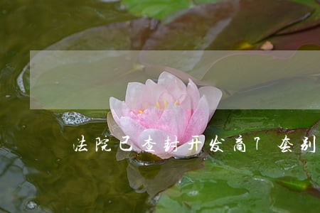 法院已查封开发商7套别墅 法院已查封开发商7套别墅