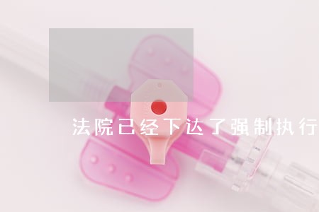 法院已经下达了强制执行决定 法院已经下达了强制执行决定