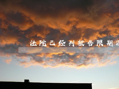 法院已经判被告限期还款
