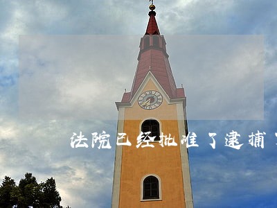 法院已经批准了逮捕了 法院已经批准了逮捕了