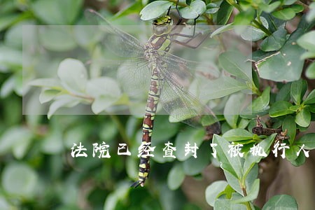 法院已经查封了被执行人车辆档案 法院已经查封了被执行人车辆档案