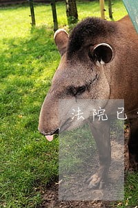 法院已经查封的房屋进行确权