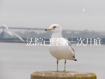 法院已经第一次开庭 法院已经第一次开庭