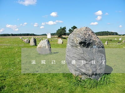 法院已经通知我了 法院已经通知我了